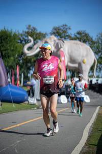 BIB: 
                            <button type="button" onclick="openModal(26542431)" class="btn btn-primary btn-sm float-right btn-popup" data-toggle="modal" data-target=".modal-high-quality">
                        <i class="fas fa-shopping-cart"></i> Add to Cart
                    </button>
                                            <button type="button" onclick="isThisMe(26542431, true)" class="btn btn-success btn-sm float-right btn-popup btn-isme hidden" data-toggle="tooltip" data-placement="bottom" title="นี่คือรูปของคุณใช่ไหม คลิกที่นี่เพื่อเอาเข้าอัลบั้ม">
                        <i class="fas fa-plus"></i> Add to album
                    </button>
                    <button type="button" onclick="isThisMe(26542431, false)" class="btn btn-warning btn-sm float-right btn-popup btn-isnotme hidden">
                        <i class="fas fa-ban"></i> Remove from album
                    </button>